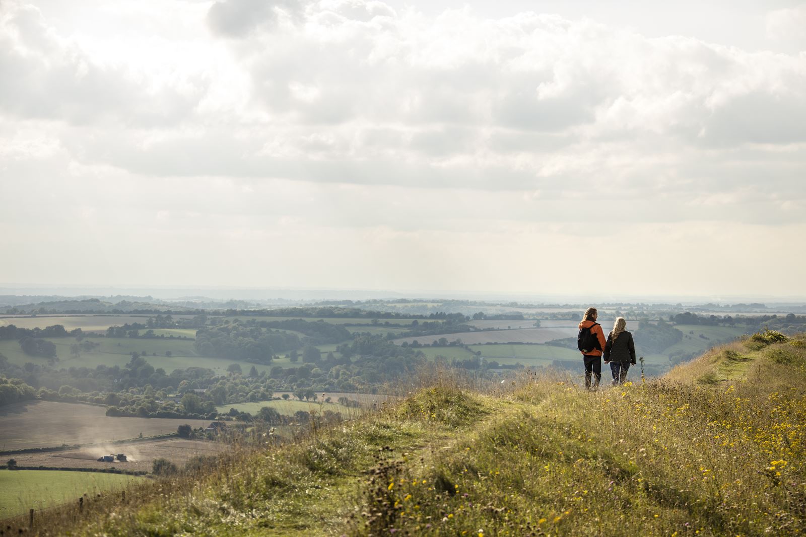 South Downs